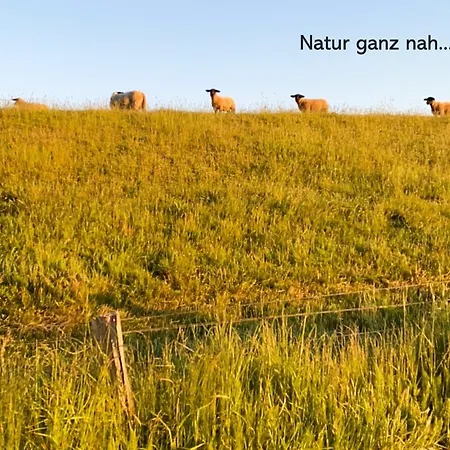 Appartement Strandbude