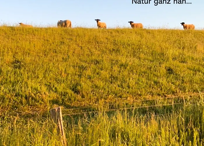 Appartement Strandbude