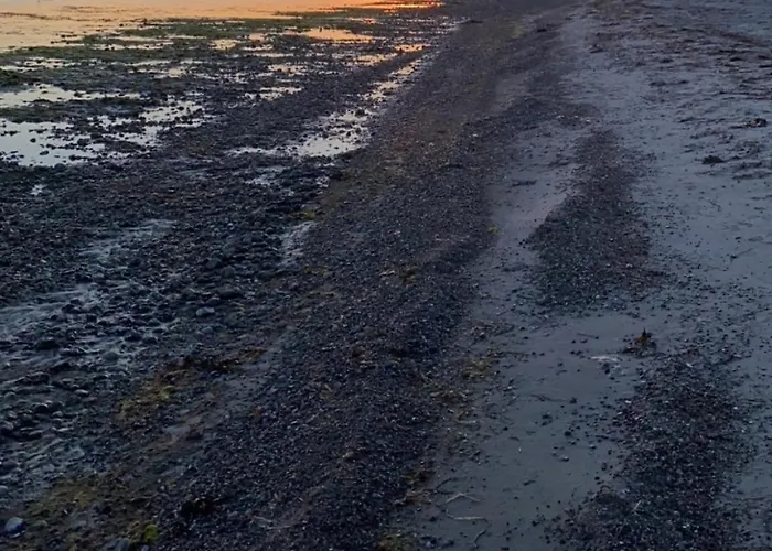 Strandbude Appartement *